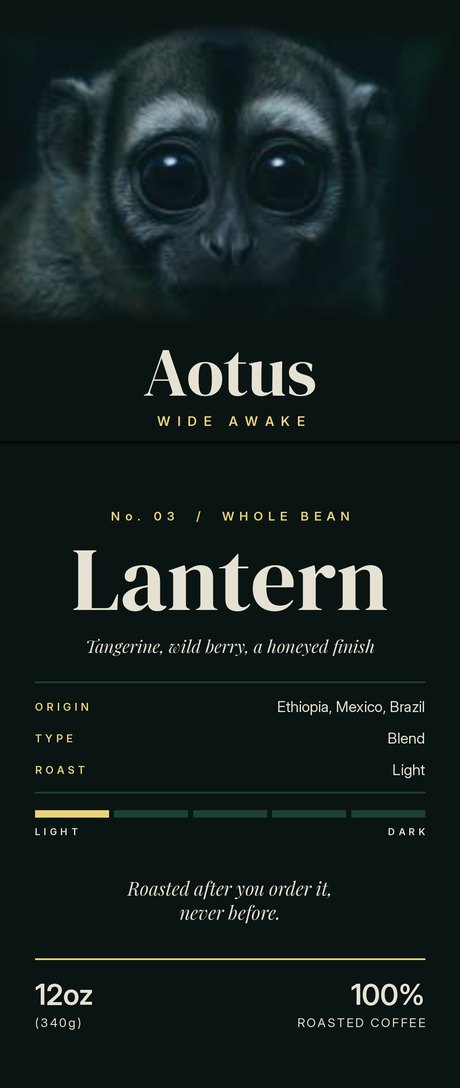 The Lantern bag